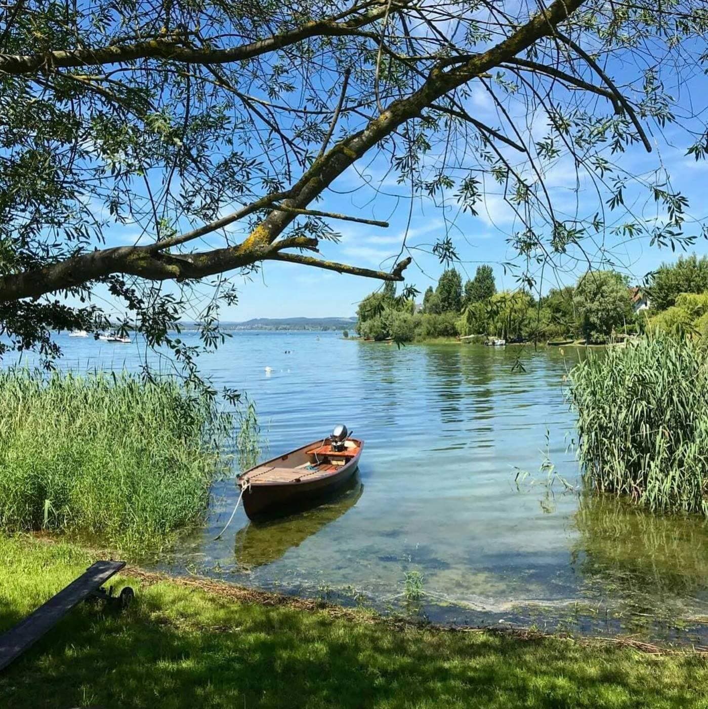 Bodensee & Rheinfall Tour – Bild 3