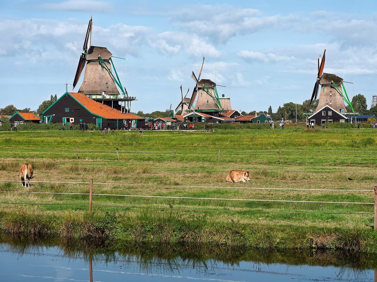Amsterdam & Zaanse Schans – Bild 2